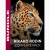 Rikard Rodin Complete Pack