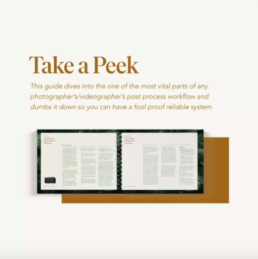 India Earl Education - The Guide To Backups