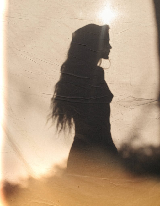 Meridian Presets - India Earl - Light Leaks