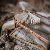 Twig & Olive Photography - Print and Product Selling Guide