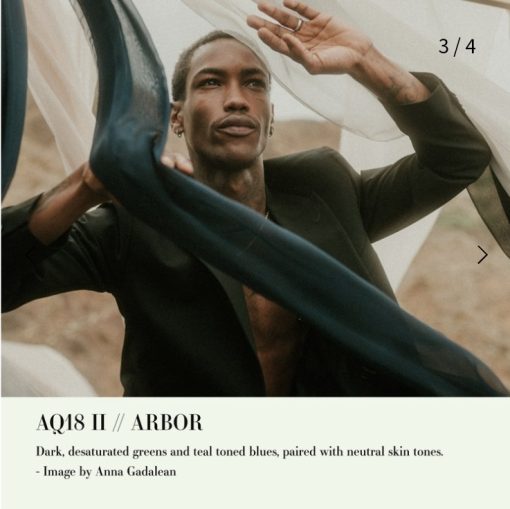 Archipelago Quest - Quest 18 - Arbor