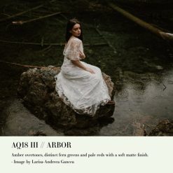 Archipelago Quest - Quest 18 - Arbor