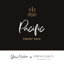 Dawn Charles x Gina Paulson 'Pacific Pack' Presets