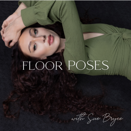 Sue Bryce Education - The POSE Series