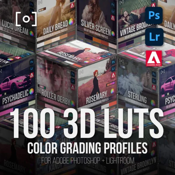 PRO EDU - Master Collection | 100 3D LUT Profiles for Adobe