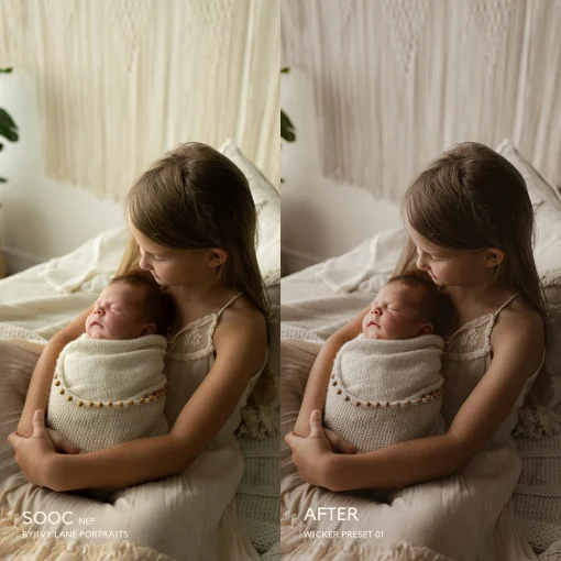 Jessica G Photography - Wicker Lightroom Presets