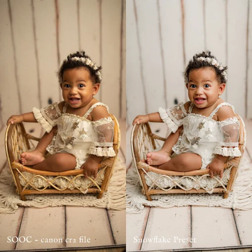 Jessica G Photography - Snowflake Lightroom Presets