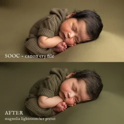 Jessica G Photography - Magnolia Lightroom Presets