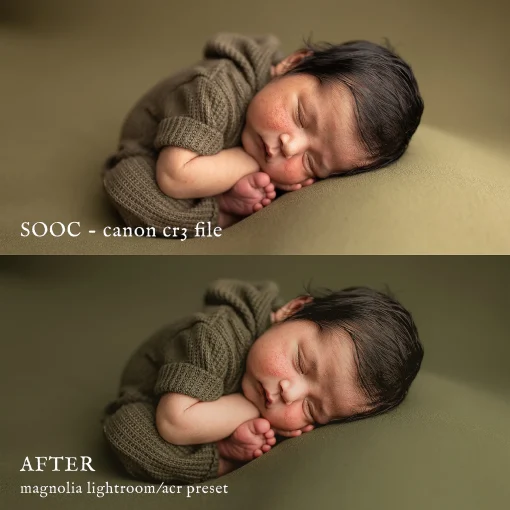 Jessica G Photography - Magnolia Lightroom Presets