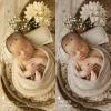 Jessica G Photography - Wicker Lightroom Presets