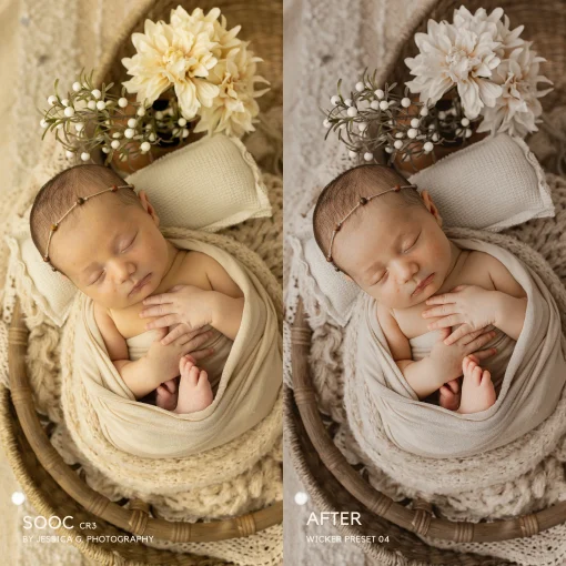 Jessica G Photography - Wicker Lightroom Presets