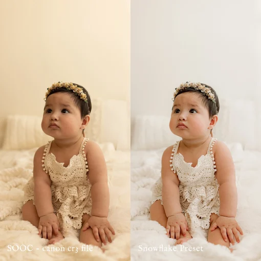 Jessica G Photography - Snowflake Lightroom Presets