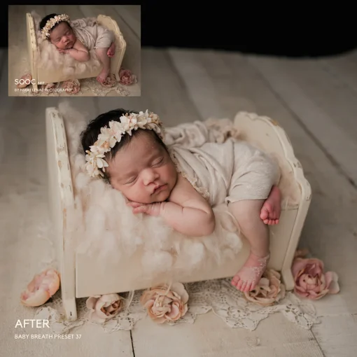 Jessica G Photography - Baby Breath Lightroom Presets