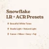 Jessica G Photography - Snowflake Lightroom Presets