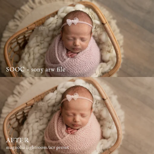 Jessica G Photography - Magnolia Lightroom Presets