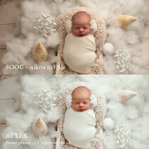 Jessica G Photography - Fauna Lightroom Presets