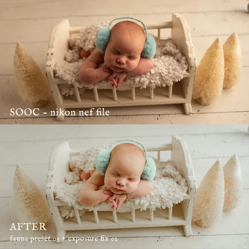 Jessica G Photography - Fauna Lightroom Presets