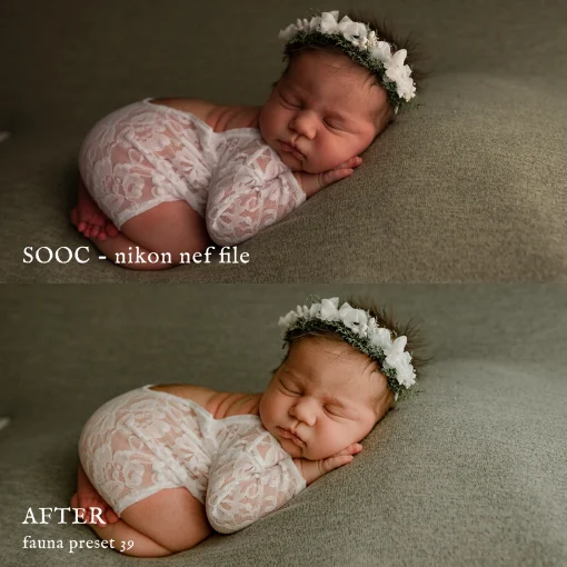 Jessica G Photography - Fauna Lightroom Presets