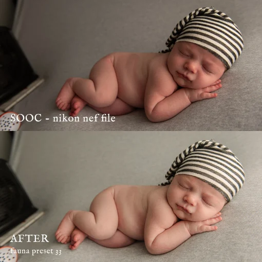 Jessica G Photography - Fauna Lightroom Presets