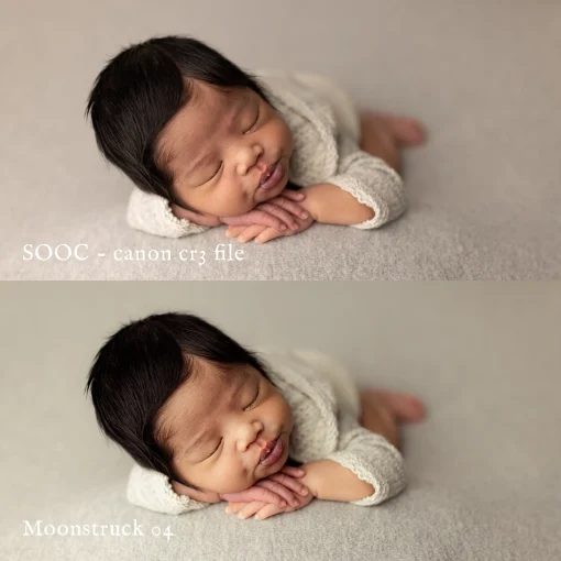 Jessica G - Moonstruck Presets