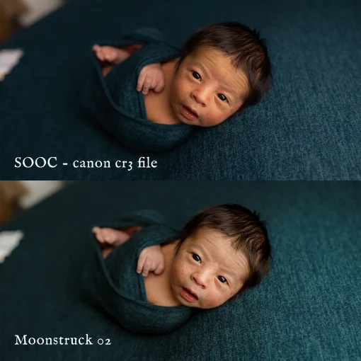Jessica G - Moonstruck Presets