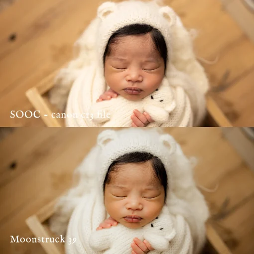 Jessica G - Moonstruck Presets