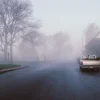 Cinecolor - Primaries LUT Pack