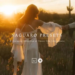 Meridian - Saguaro Presets by Annie Morgan (Desktop) for Lightroon & ACR