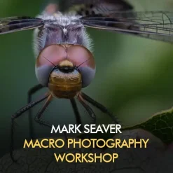 Nature Photographers Network - Macro Photography Workshop by Mark Seaver