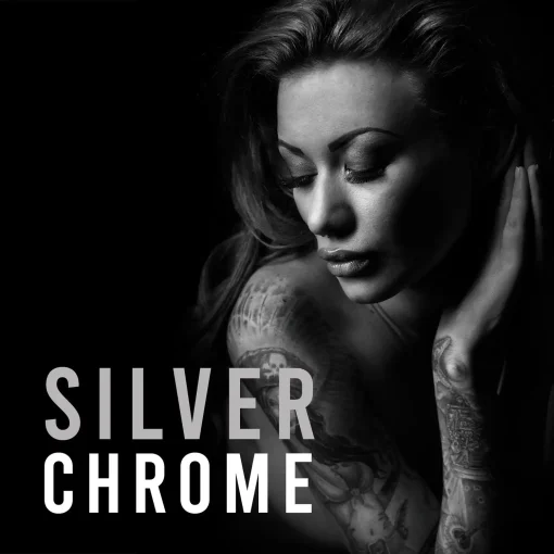 SilverChrome by Jeff Ascough : Monochrome Profiles & Presets for Lightroom