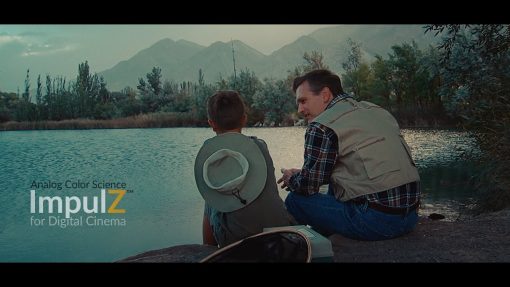 Vision Color - Impulz LUTs