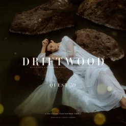 Archipelago Quest 39 - Driftwood