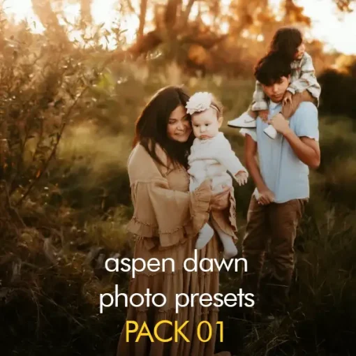 Aspen Dawn Photo Presets (Pack 01)