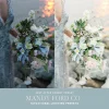 Mandy Ford - Situational Lighting Presets