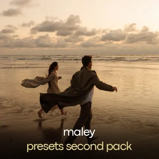 Maley - Presets Second Pack