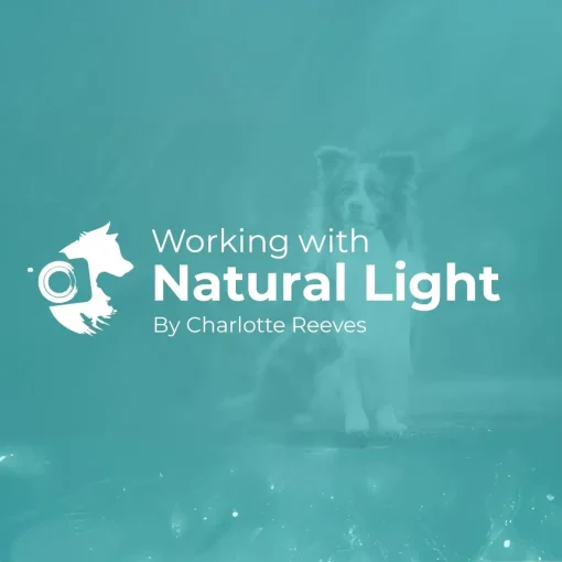 Unleashed Education - Pet Photography: Working with Natural Light with Charlotte Reeves