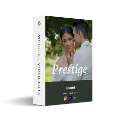 Gamut x Runaway Vows - The Prestige LUT Collection