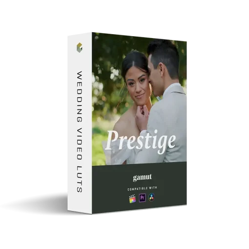Gamut x Runaway Vows - The Prestige LUT Collection
