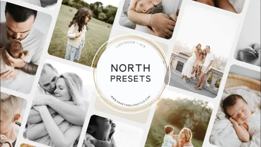 Carolina Hanna - North Presets + Brushes | for Lightroom, LR Mobile & Camera Raw
