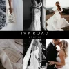 Ivy Road - Presets Bundle Vendor