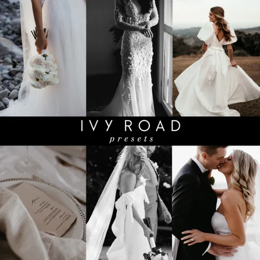 Ivy Road - Presets Bundle Vendor