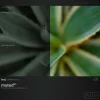 benj™ | Deep Cinema x Muted Bundle