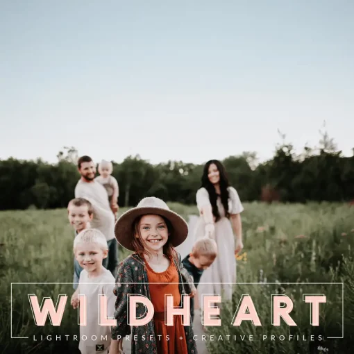 Pretty Presets - Wildheart Evolution Preset Collection