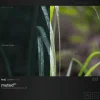 benj™ | Deep Cinema x Muted Bundle