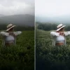 WithLuke Presets - The Cinematic Collection