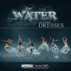 Shirk Photography - The Complete PS Water Couture Collection (Brushes & Dresses)