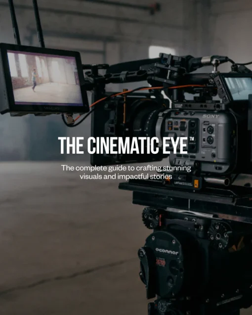 Art Of Documentary - The Cinematic Eye