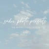 Sadie Photo Presets - The Bouquet Collection