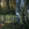 Eric Bennett - Secrets of the Forest - A Guide to Forest Photography