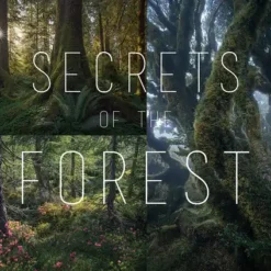 Eric Bennett - Secrets of the Forest - A Guide to Forest Photography